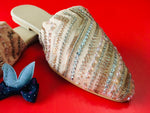 Aria Mule